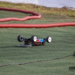 IMG_3595